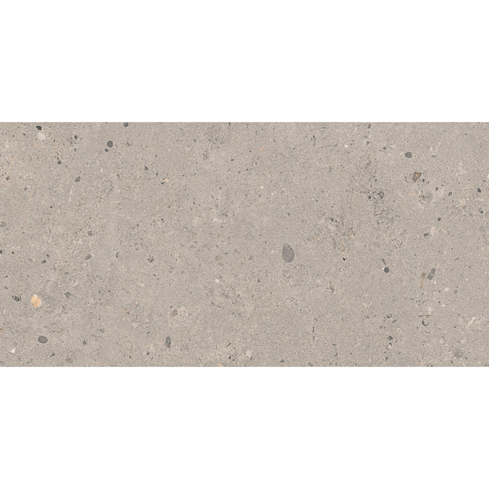 Coolstone Grey 600x300mm tile