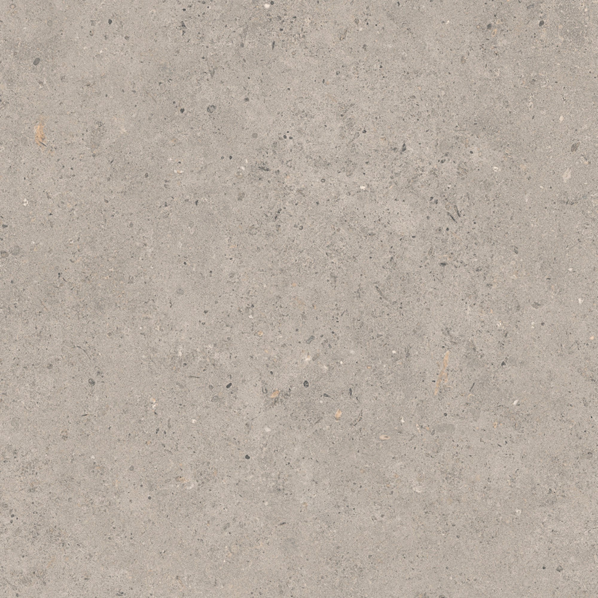 Coolstone Grey 600x600mm tile